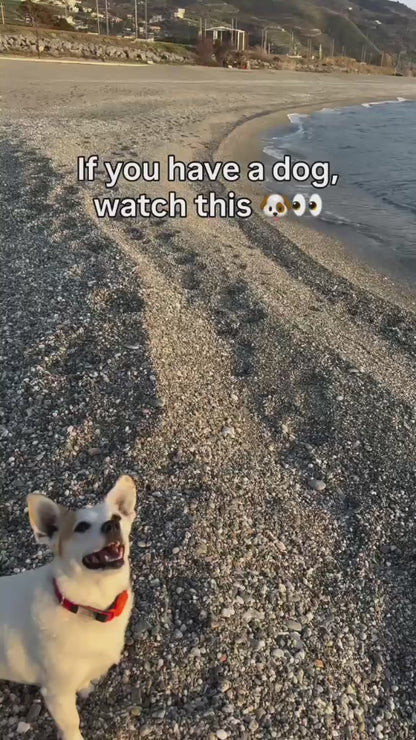 WAGGO Walk Bottle
