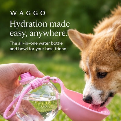 WAGGO Walk Bottle — dog drinking outdoors
