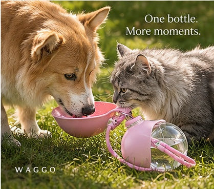 WAGGO Walk Bottle — dog and cat hydration